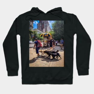 Dog Sitter, Central Park, Manhattan, New York City Hoodie